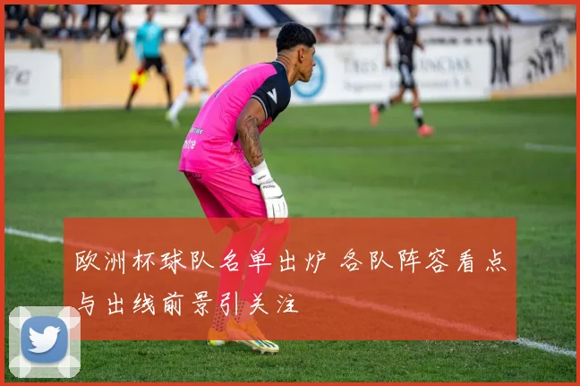 欧洲杯球队名单出炉 各队阵容看点与出线前景引关注